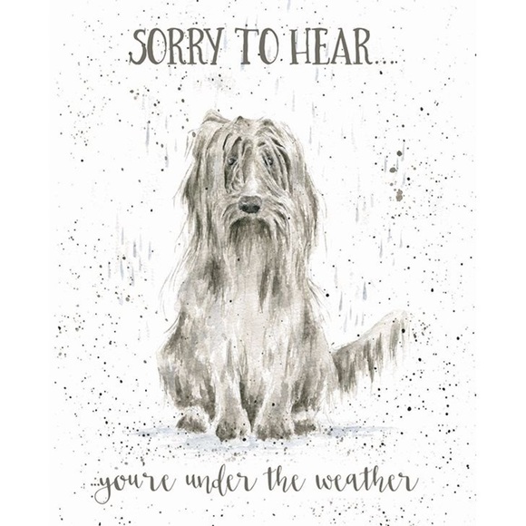 Feeling Under The Weather Card - Picture 10 of 10